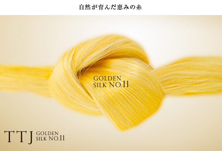 肌をやさしくなでるだけで角質が落ちる黄金シルクのブラシ
